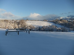 Snow on field 1