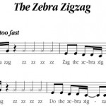 Zebra Zig Zag