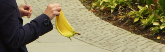 October 2017: Stuff Of The Day. Bananas. october banner