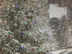 Post Advent calendar tree
