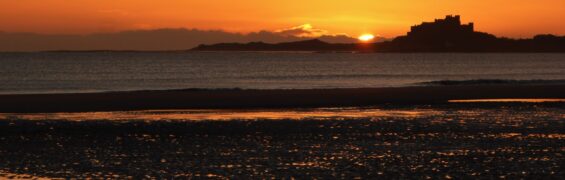 January 2018: Burns, Music and Sun jan banner