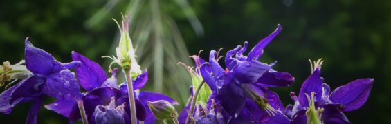 Busy June 2018: Here and There june banner maybe4