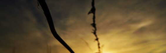 August 2018: A Line In The Sand August banner