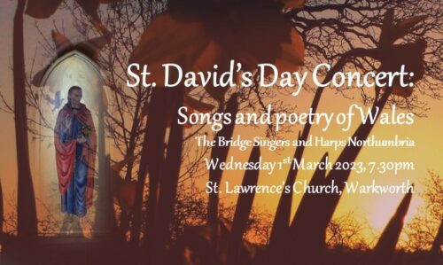 S. David's Day Poster banner