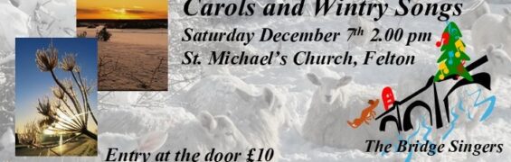 Winter concert poster banner