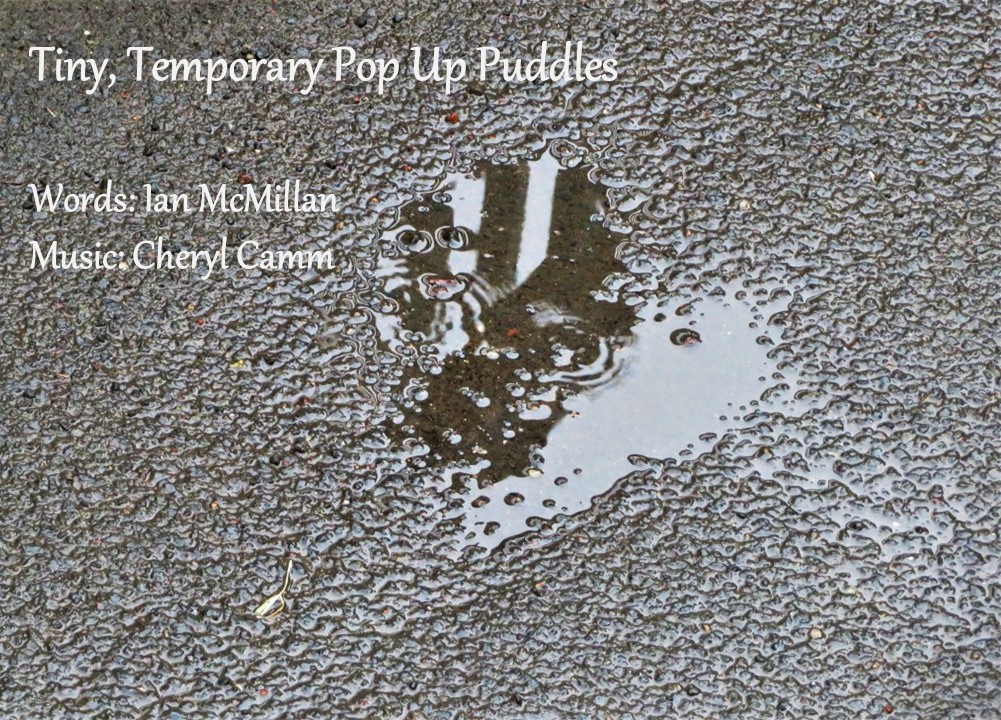 Tiny Temporary Pop Up Puddles slide
